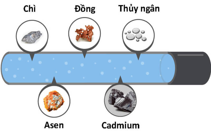 Nước thải thường chứa các kim loại nặng